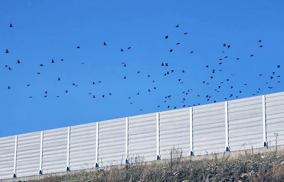 Yente Inc. built sound barriers at Lake Aktaş to protect migratory birds.